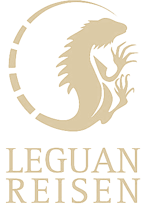 Leguan Reisen