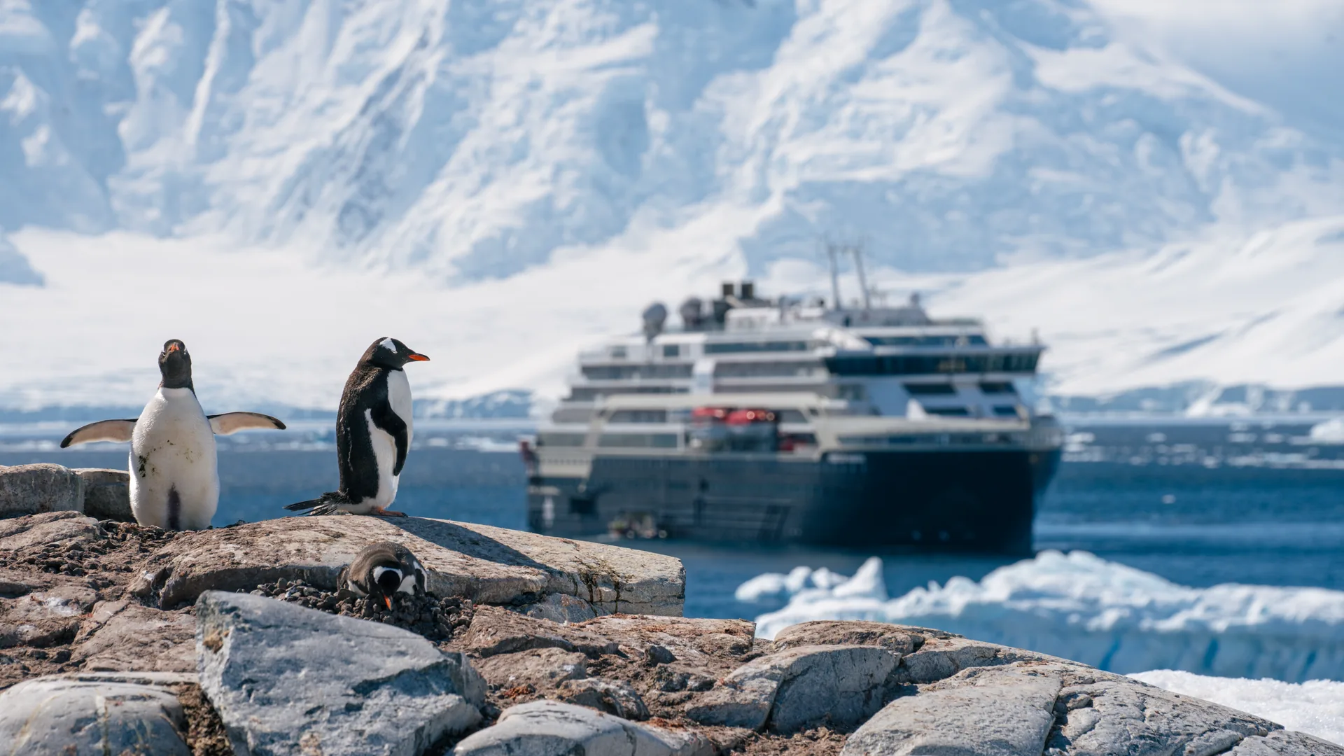 Unvergleichliche Antarktis Kreuzfahrt – Die Route der Entdecker | MS FRIDTJOF NANSEN