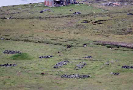 Grasbewachsene Steinreste von Inuit-Erdhäusern auf der Insel Uunartoq