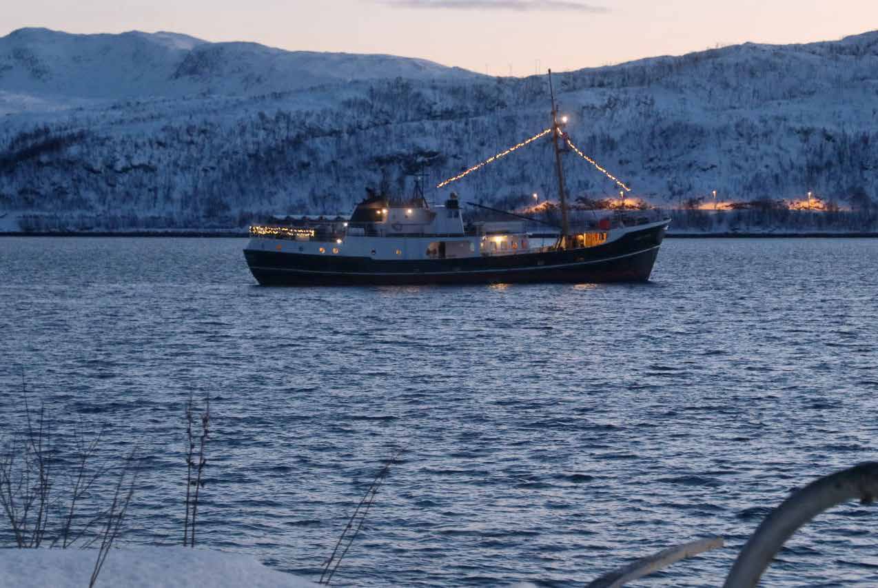 Zwölf Wochen Nordnorwegen: wann die Wale da sind und wie dunkel der Dezember wirklich ist