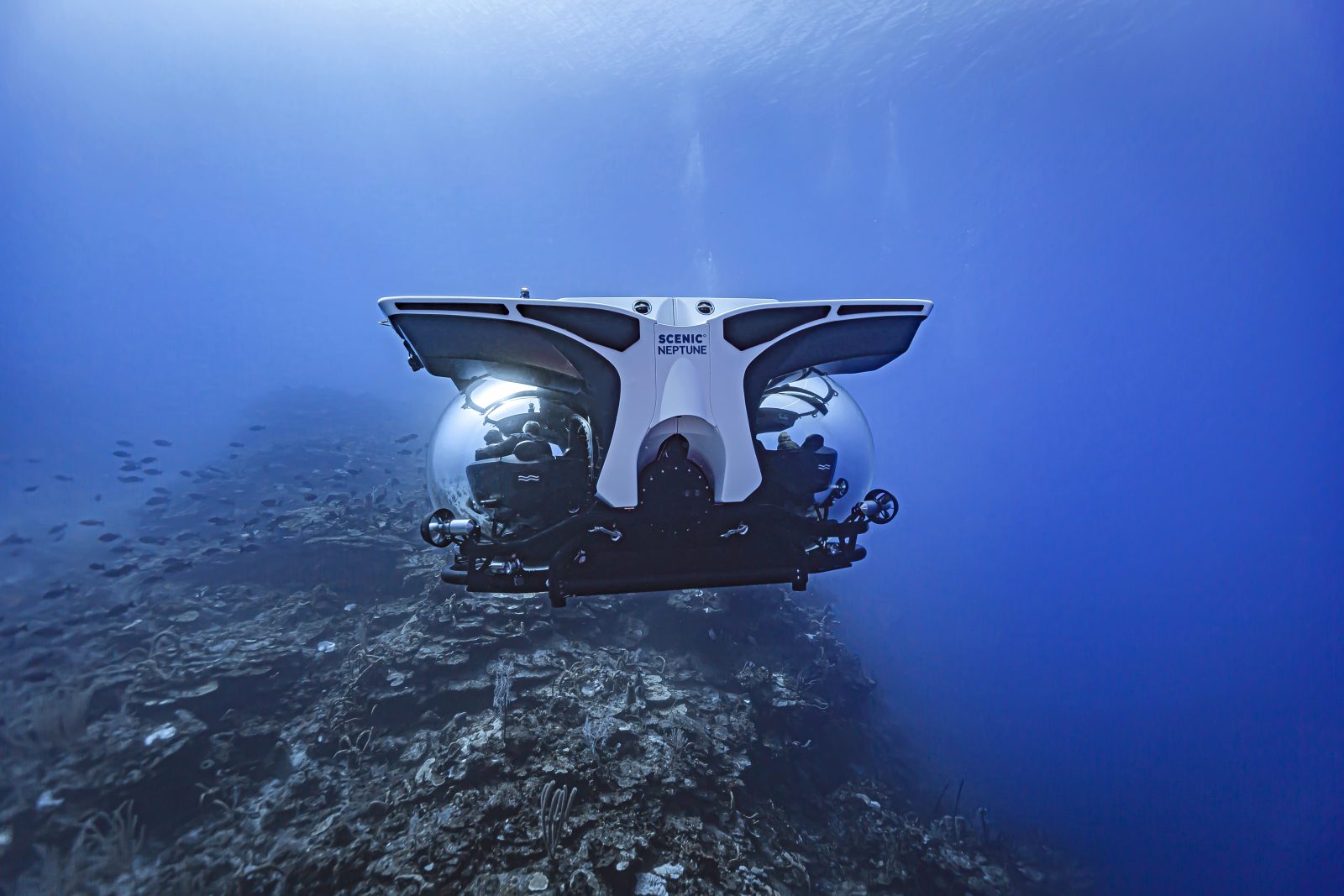 Unter Wasser — Scenic Neptune auf Tauchfahrt